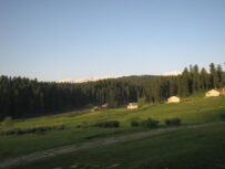 {{brizy_dc_image_alt entityId=